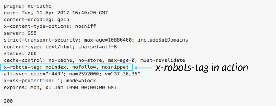 file robots.txt wordpress